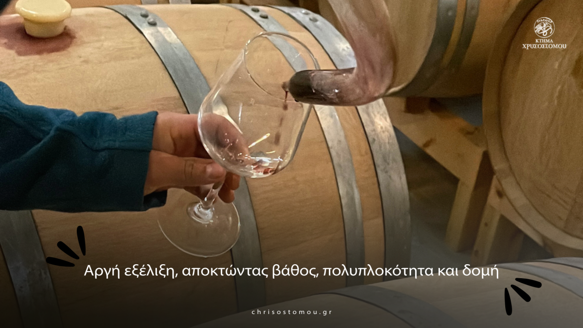 Φεβρουάριος στο Κτήμα Χρυσοστόμου – Ο μήνας που το κρασί ωριμάζει σιωπηλά