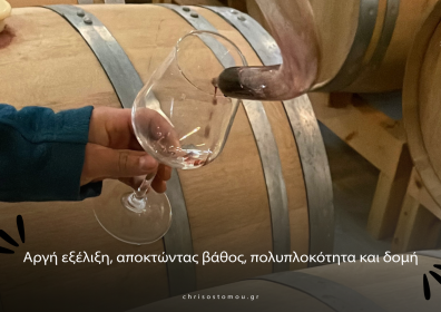 Φεβρουάριος στο Κτήμα Χρυσοστόμου – Ο μήνας που το κρασί ωριμάζει σιωπηλά