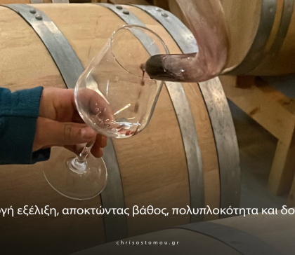 Φεβρουάριος στο Κτήμα Χρυσοστόμου – Ο μήνας που το κρασί ωριμάζει σιωπηλά
