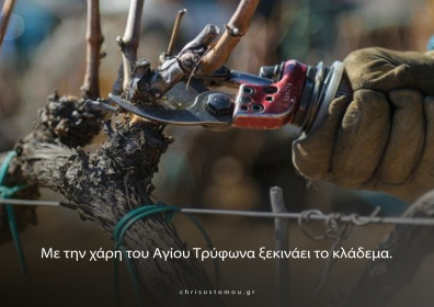Η έναρξη της εποχής κλαδέματος στον αμπελώνα