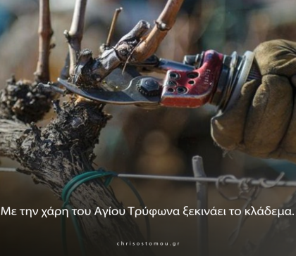 Η έναρξη της εποχής κλαδέματος στον αμπελώνα